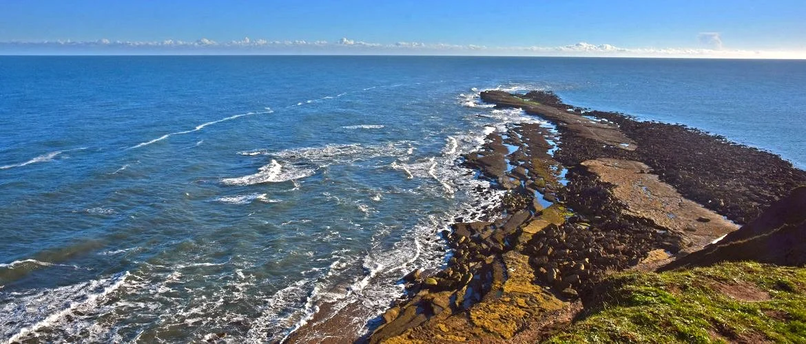 Filey Brigg from Carr Naze