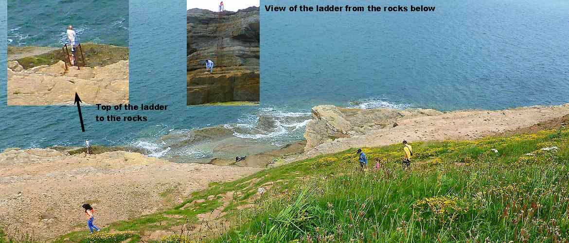 Filey Brigg ladder
