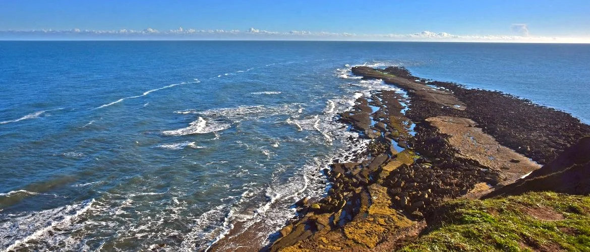 Filey Brig