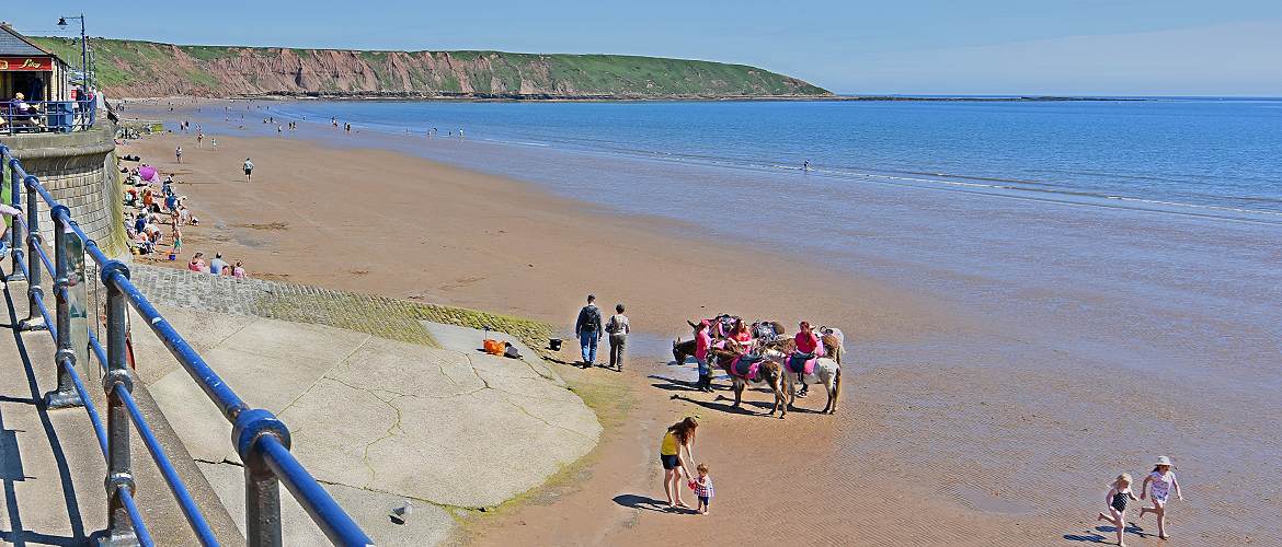 Filey beach donkeys