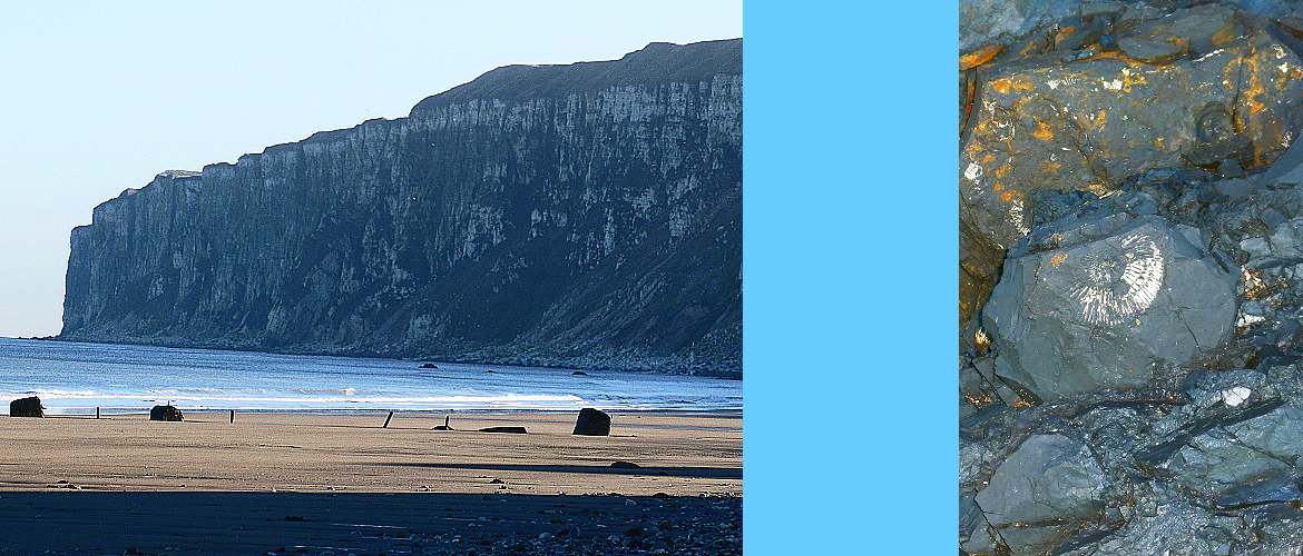 Speeton beach and fossil ammonites