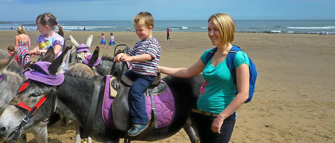 Scarborough beach donkeys